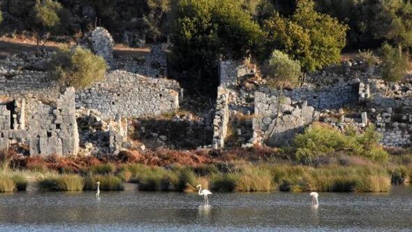Karabıbık Bungalow Demre Dış mekan fotoğraf